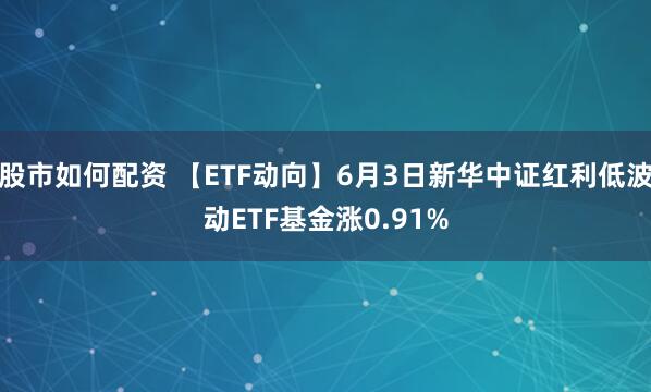 股市如何配资 【ETF动向】6月3日新华中证红利低波动ETF基金涨0.91%