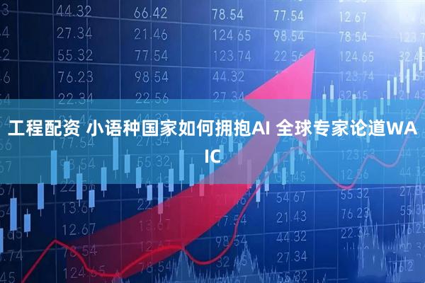 工程配资 小语种国家如何拥抱AI 全球专家论道WAIC